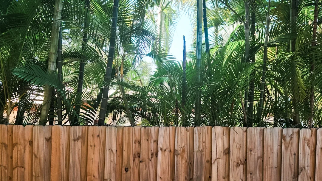Automatic Gate Installation in Cape Coral
